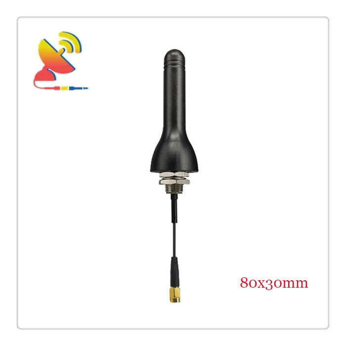 C&T RF Antennas Inc.- 80x30mm Screw-mount Long-range LoRa Antenna 868/915 MHz Manufacturer
